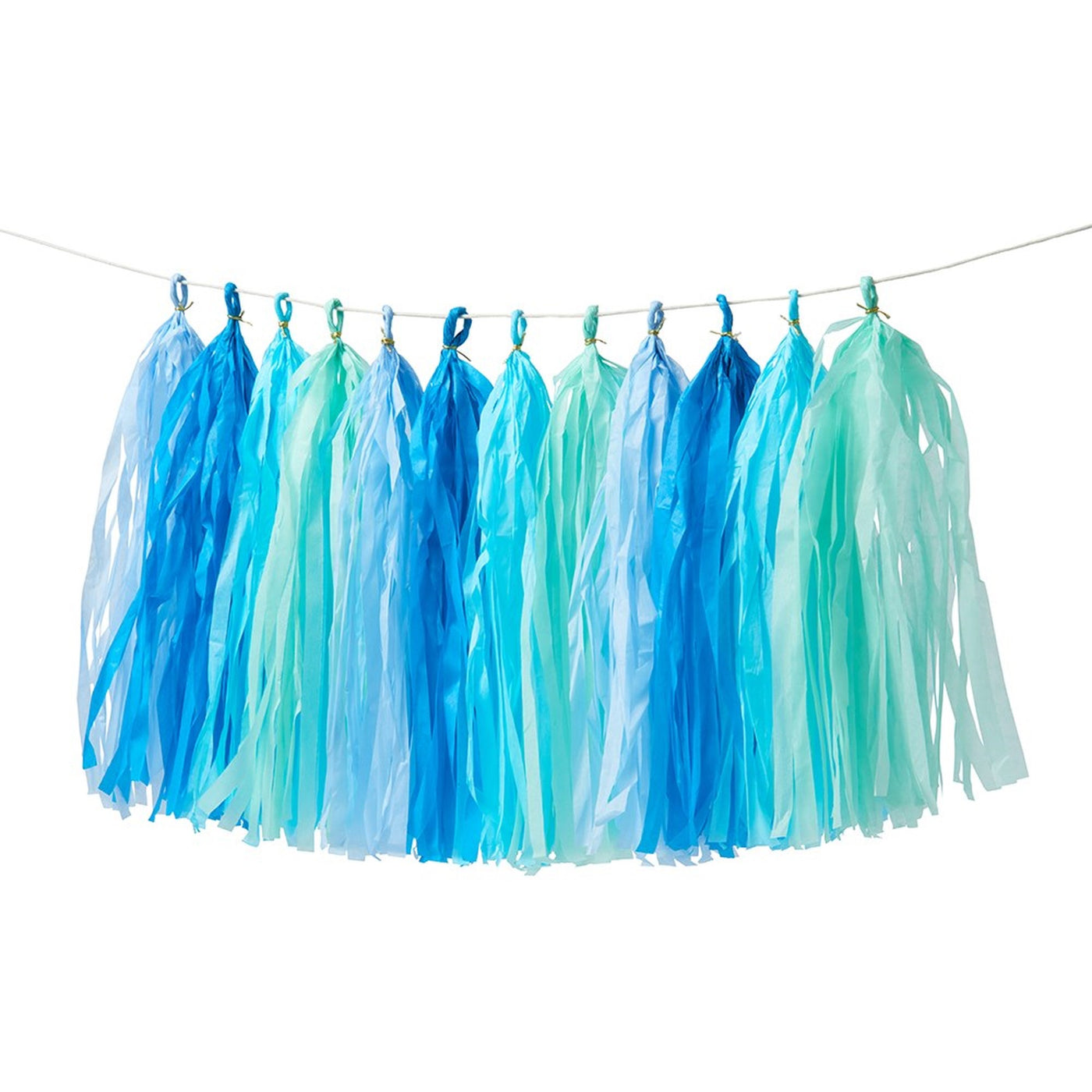 Blue Tassel Garland - Whoot Party Boutique